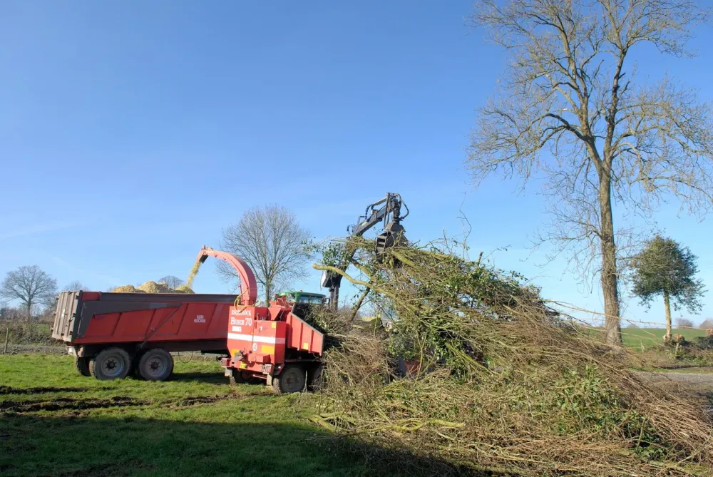 Broyage de haies à Montabot